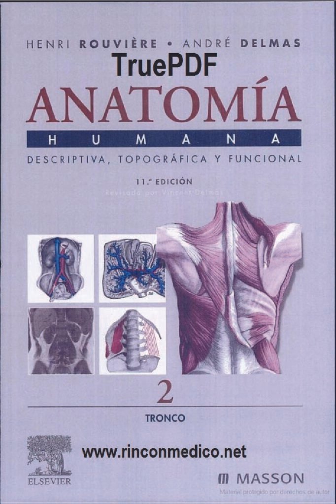 thumbnail of Anatomia Humana 2 Tronco Henri Rouviere Andre Delmas