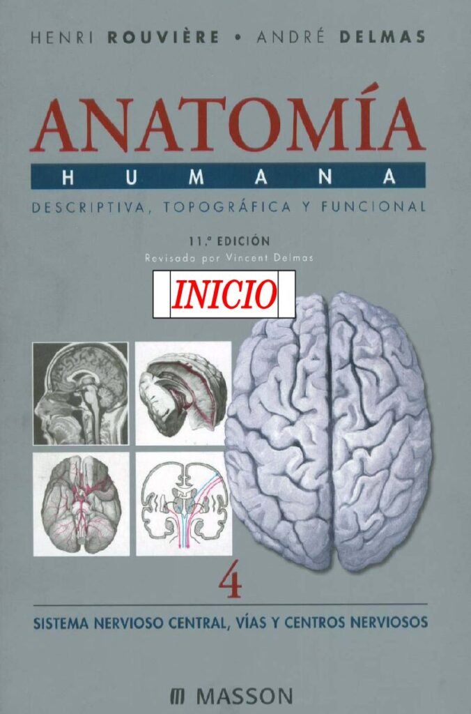 thumbnail of Anatomia Humana 4 Sistema Nervioso Central Vias Y Centros Nerviosos Henri Rouviere Andre Delmas