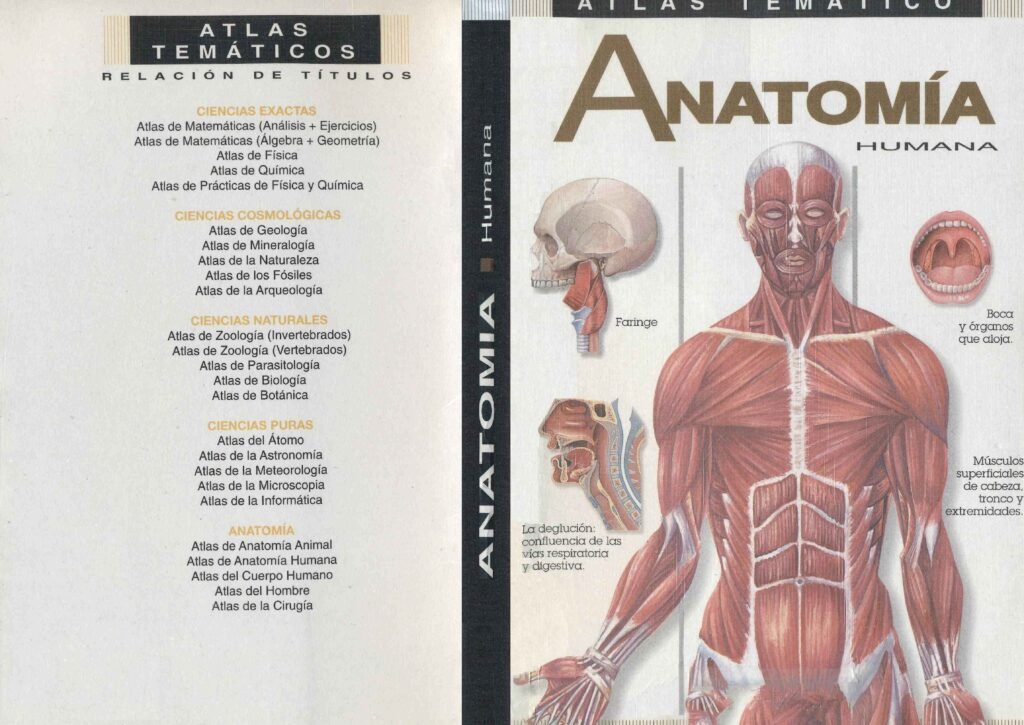 thumbnail of Atlas Tematico de Anatomia Humana