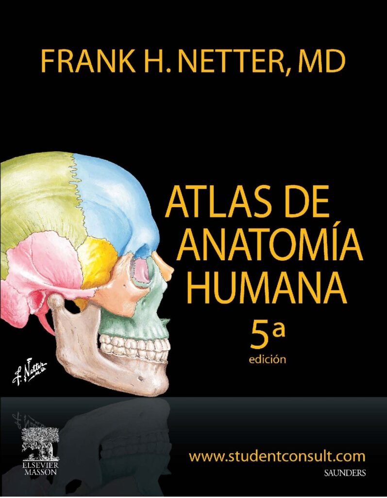 thumbnail of Atlas de Anatomia Humana Frank H Netter MD