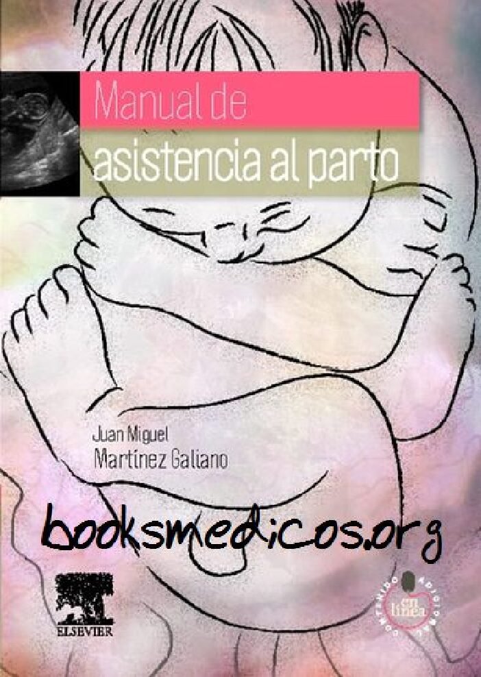 thumbnail of Manual de Asistencia al Parto Juan Miguel Martinez Galiano