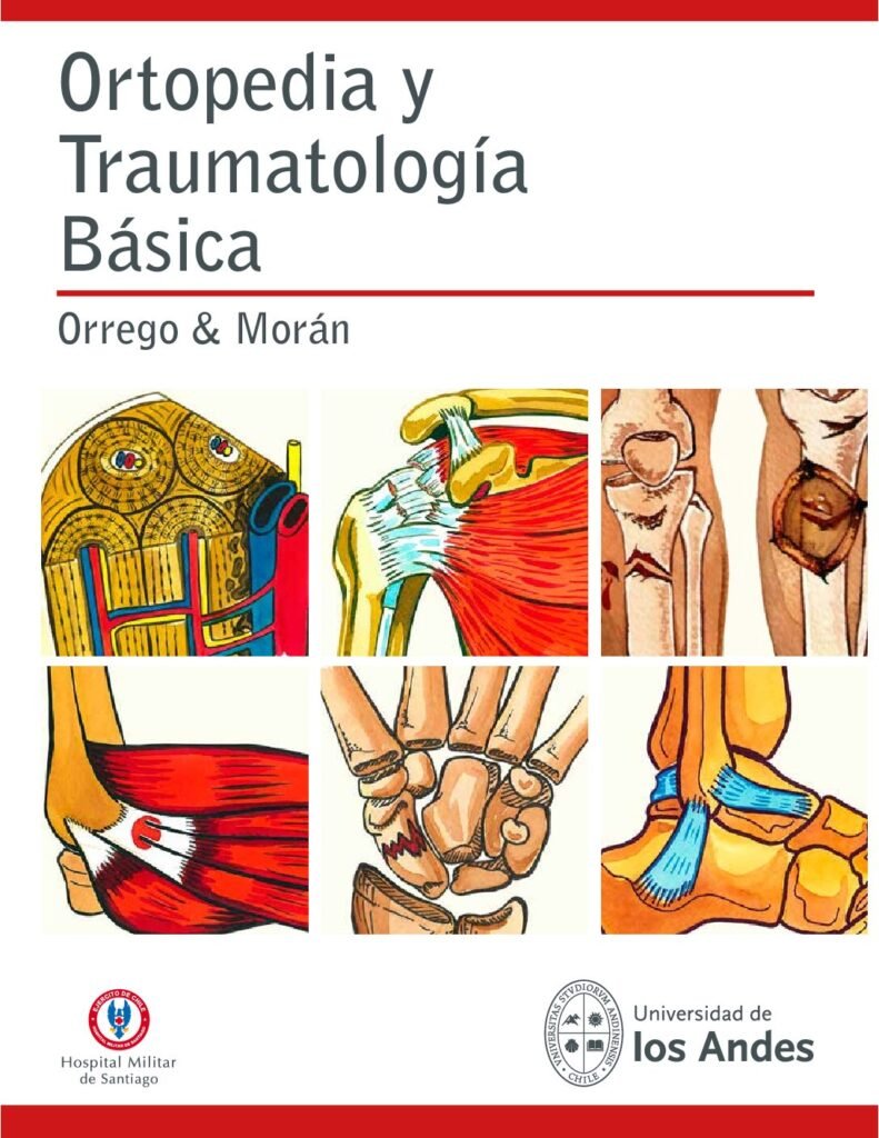 thumbnail of Ortopedia y Traumatología Básica Orrego & Morán